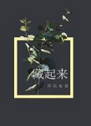 藏起来林和西小说