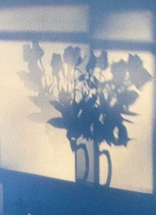 跟踪情敌被发现后小说