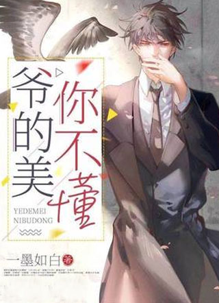 爷的美你不懂小说