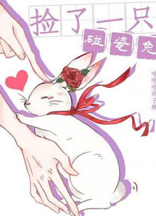 安星洲捡了一只碰瓷兔小说