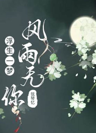 浮生一梦风雨无你小说