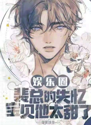 裴总的失忆宝贝他太甜了小说