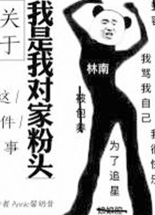 关于我是我对家粉头这件事小说