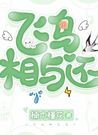 飞鸟相与还小说
