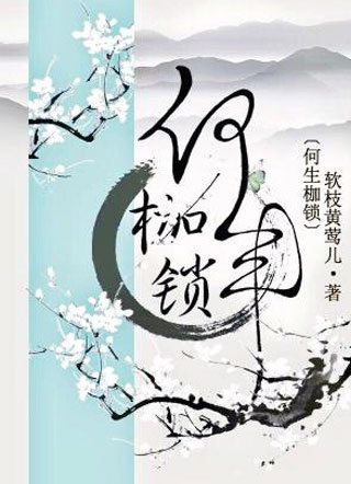 何生枷锁小说