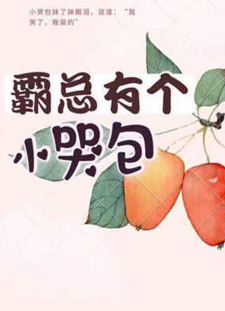 霸总有个小哭包小说