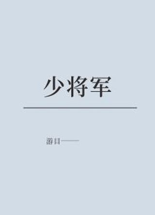 少将军小说