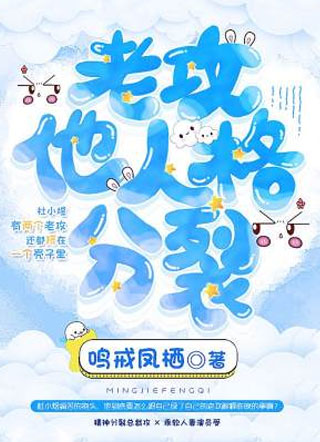 老攻他人格分裂小说