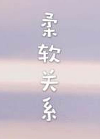 柔软关系小说