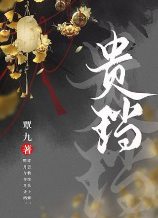 贵珰小说