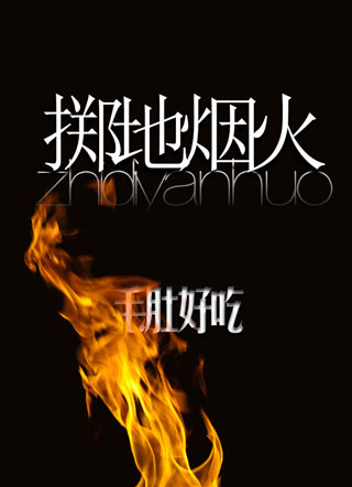 掷地烟火小说