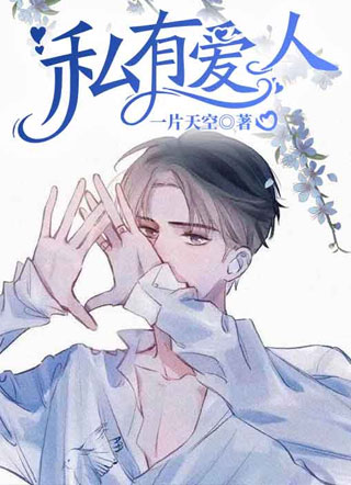私有爱人一片天空小说