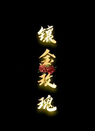 镶金玫瑰小说