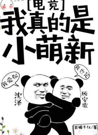 我真的是小萌新小说