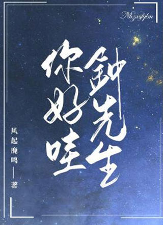 你好哇，钟先生小说