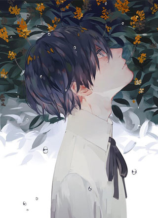 区区背景板你作什么妖？小说