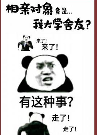 相亲对象竟是我大学舍友小说