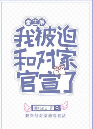 重生后我被迫和对家官宣了小说