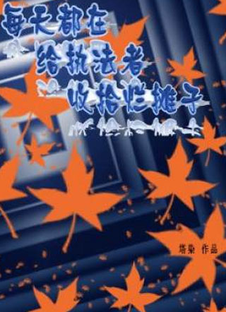 每天都在给执法者收拾烂摊子小说