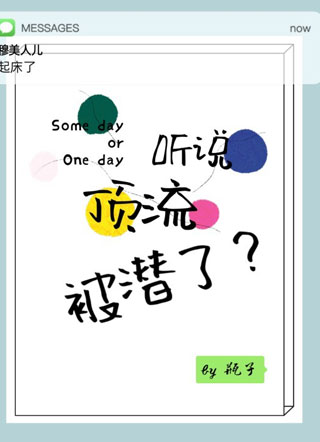 听说顶级流量他被小说