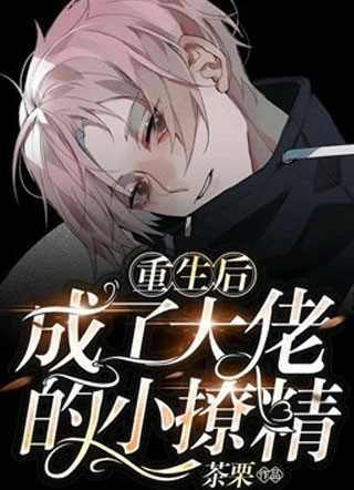 重生后成了大佬的小撩精小说