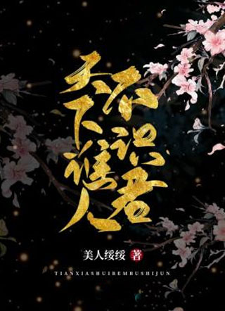 天下谁人不识君叶淇小说