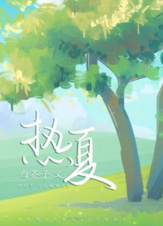 热夏傅时琤小说