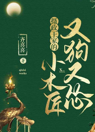 摄政王家的小木匠又狗又怂小说