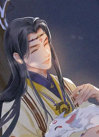 白宴卿穿书后我被帝君宠坏了小说