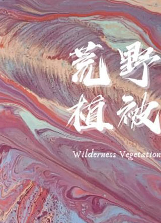 荒野植被许言小说