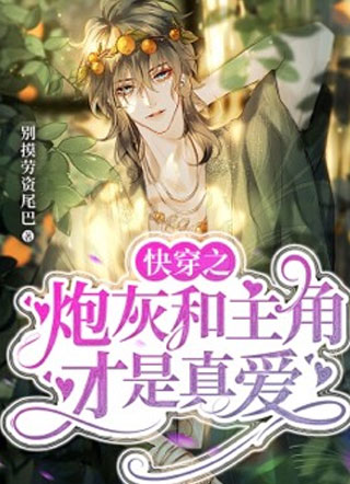 快穿之炮灰和主角才是真爱小说