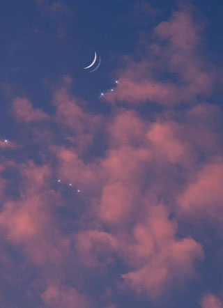 替身他又哭了穿书小说