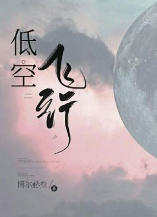 低空飞行瞿孝棠小说