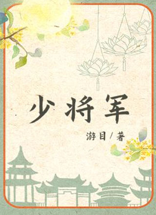 少将军傅骁玉小说