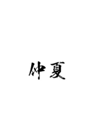 仲夏梁夺小说