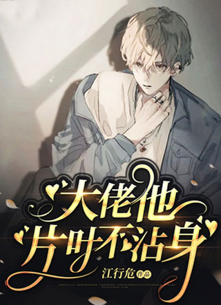 大佬他片叶不沾身小说