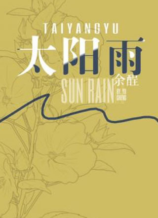 太阳雨傅宣燎小说