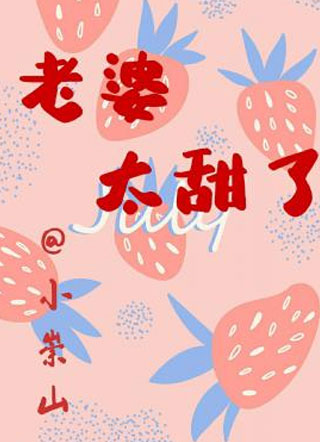 老婆太甜了小说