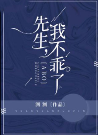 先生，我不乖了!小说