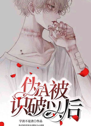 伪A被识破以后裴止小说