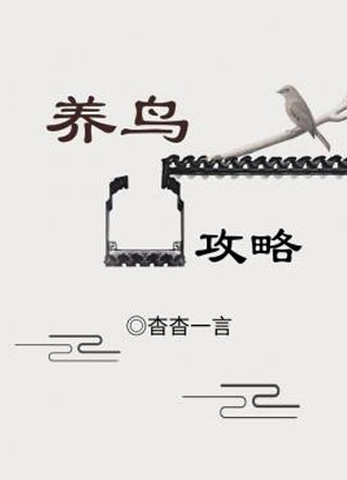 养鸟攻略小说