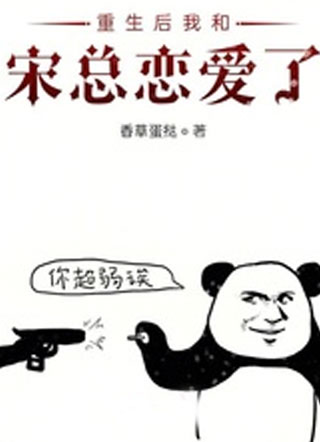 重生后我和宋总恋爱了小说