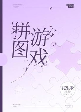 拼图游戏小说