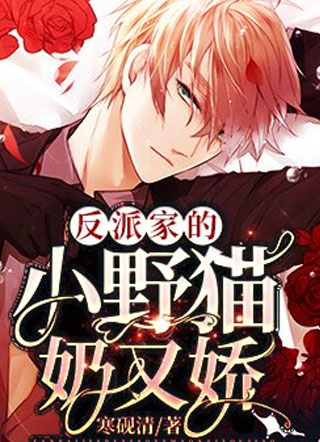 反派家的小野猫奶又娇韩彻小说
