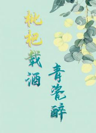 枇杷载酒青瓷醉小说