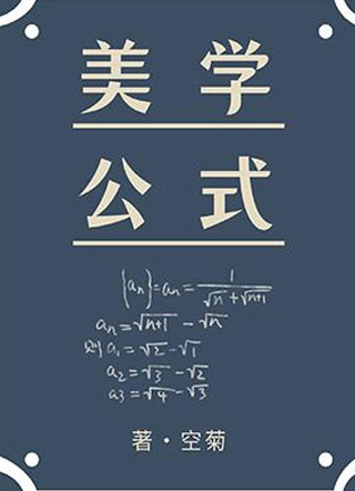美学公式小说