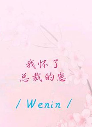 我怀了总裁的崽小说