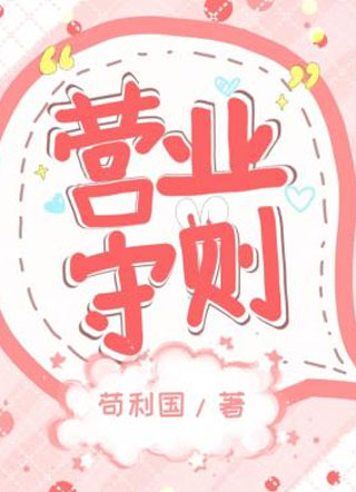 营业守则小说