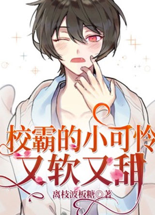 校霸的小可怜又软又甜林洛小说