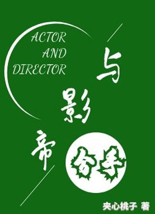 与影帝分手小说